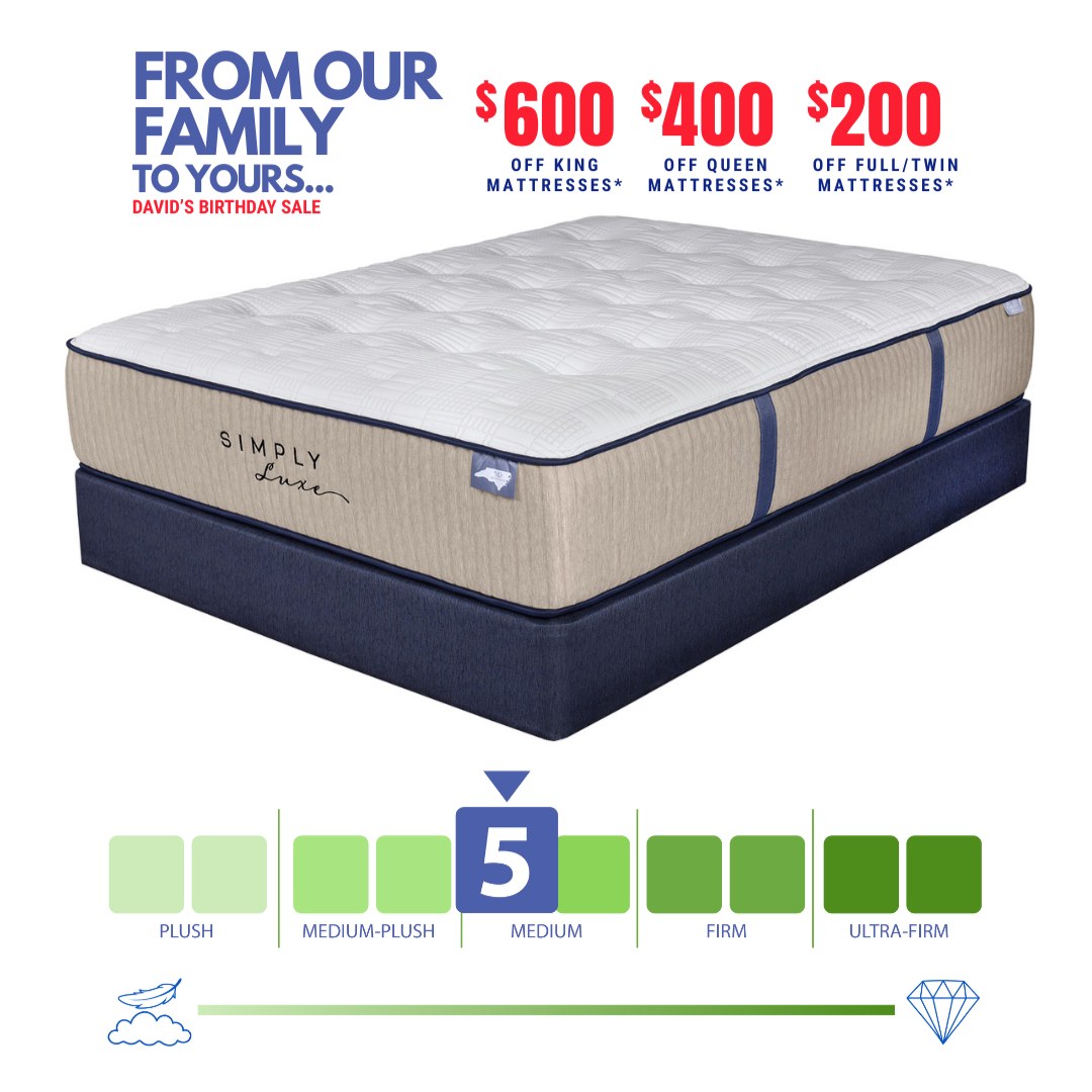 Simply Luxe Artisan Plush Mattress