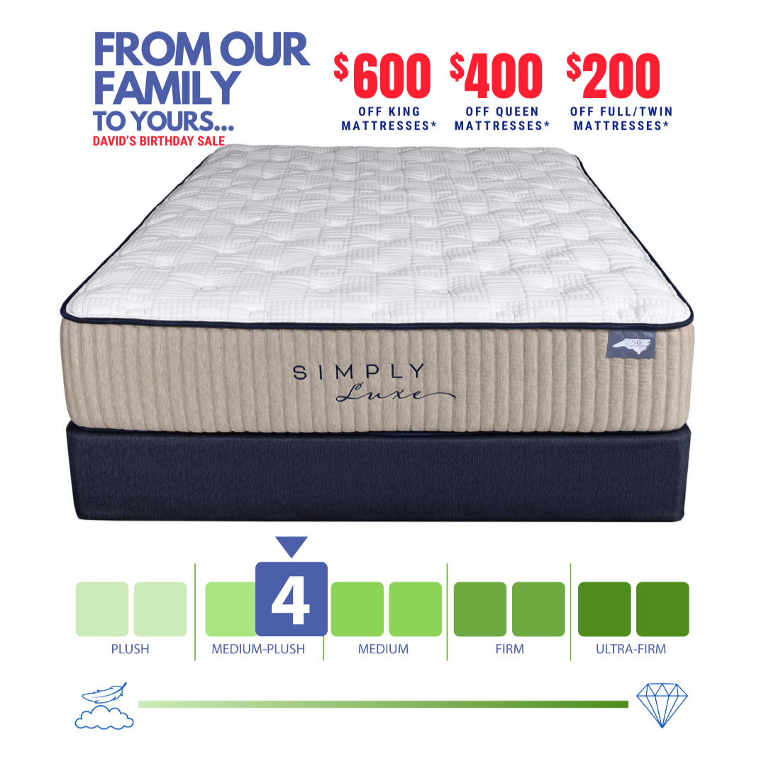 Simply Luxe Touch Plush Mattress